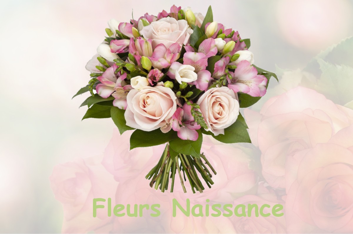 fleurs naissance SAINT-PIERRE-TARENTAINE